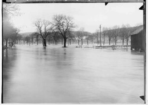 Donauhochwasser Sigmaringen im Januar 1936; Überflutete Laizer Wiesen