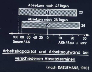 Arbeitskapazität und Arbeitsaufwand bei verschiedenen Absetzterminen (nach DAELEMANS, 1970)