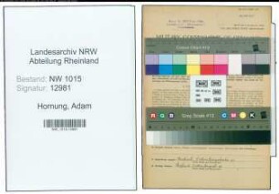 Entnazifizierung Adam Hornung , geb. 30.11.1888 (Hausmeister)