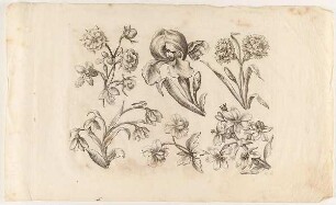 Streublumen
