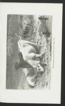 Tafel: Elle allenge le cou et elle broute. (Page 156.)