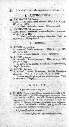 Algae