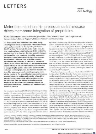 Motor-free mitochondrial presequence translocase drives membrane integration of preproteins