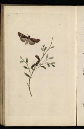 Pl. 51 [bis] Pl. 60 [Pl. siehe arbabische Paginierung]