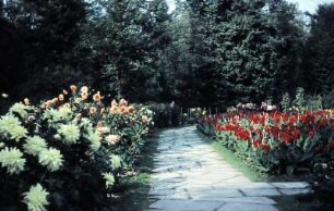 Dresden. Großer Garten. Dahliengarten