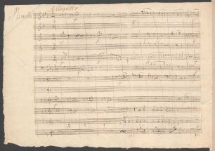 Minuetto. Allegretto [Anfang]