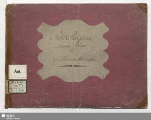 Salve regina - Mus.4657-E-5,1 : V (4), Coro; C