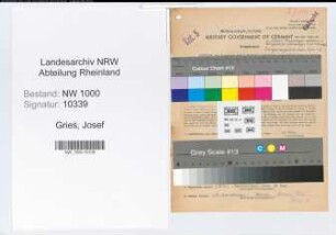 Entnazifizierung Josef Gries, geb. 09.11.1897 (Verw.Angest.)