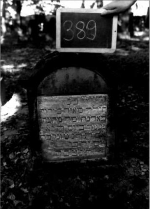 Grabstein 389 (Index: 100111843) Material: Sandstein, weiße Marmorplatte Zustand: gut Maße HxBxT: 62x48x28 cm Beschreibung: Stele, profilierter Sockel, eingezogener Segmentbogenabschluß, rechteckige Schriftplatte Besonderheit: Kindergrab: Grabstein 389
