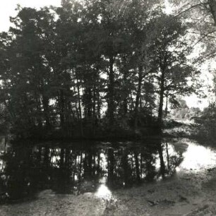 Großböhla. Schlosspark (1801/1850). Teich
