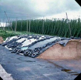 Fotografie: Lagertechnik, Flachsilo, Maissilage, Siloabdeckung, Reifen, Hopfen