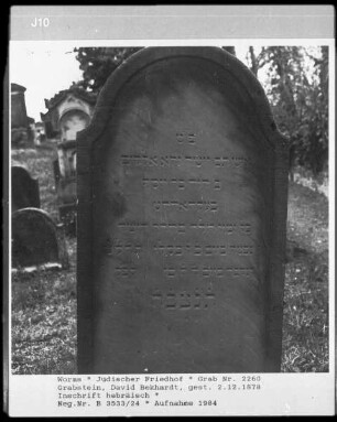 Grabstein des David Behrens (gestorben 1878.12.02)