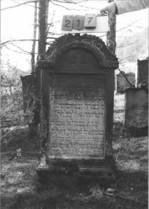 Grabstein 217 (Index: 99608941) Material: Sandstein Zustand: leicht verwittert Maße HxBxT: 124x67x21 cm Beschreibung: Stele, profilierter Sockel, eingezogener Rundbogenabschluß mit aufgesetzten Zweigen, Schriftfeld eingetieft: Grabstein 217