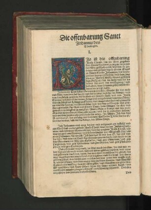 Die Offenbarung Sanct Johannis des Theologen.