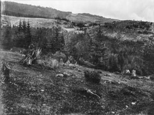 Wald in Tal : Blick über Hügel auf ein bewaldetes Tal