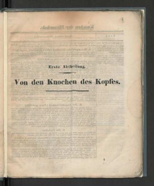 Von den Knochen des Kopfes.