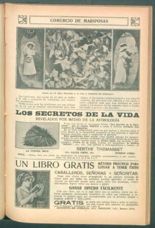 Comercio de mariposas
