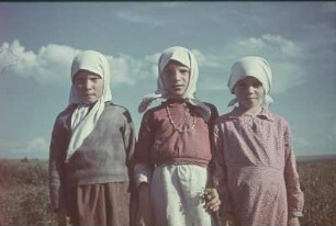 Zweiter Weltkrieg. Sowjetunion. Zur Einquartierung (wahrscheinlich in der Ukraine). Einheimische Bauernmädchen