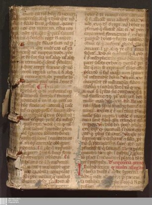 Jncipit pectorale dominice passionis siue diuini amoris. Quia salus vita [et] rede[m]ptio generis humani i[n] passione d[omi]ni co[n]sistit ...