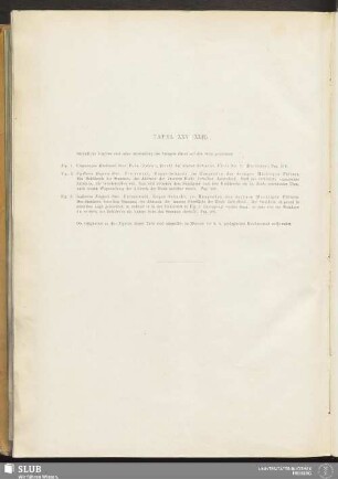 Tafel XXV (XLII)