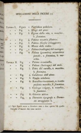 Spiegazione Delle Figure.