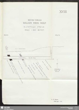 XVIII. Section through Golden Frog Reef