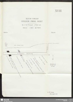 XVIII. Section through Golden Frog Reef