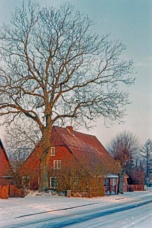 Fischbek: Lohe (16): traufständige Fachwerkkate: Straßenfront [halb verdeckt], Giebelseite Wohntrakt: davor Baum