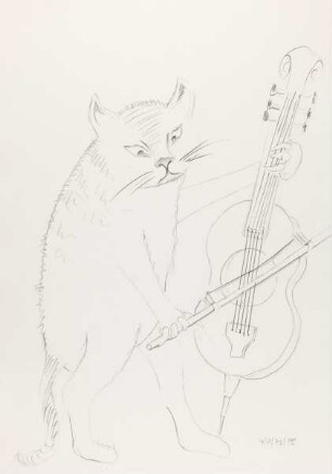 Katze "Furioso" spielt Cello