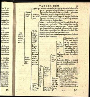 Tabula XXVIII.