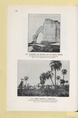 236. Kreidefelsen bei Barbados auf den Kleinen Antillen