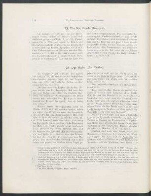 23. Die Nachteule (Noctua).