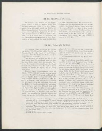 23. Die Nachteule (Noctua).