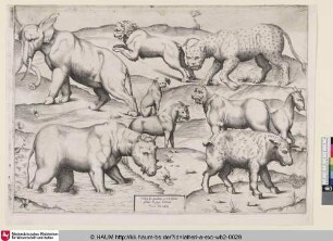 Tabula II animalium ex uetustissimis picturis Romae