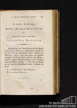 III. Classe, II. Ordnung. Abweichende Renetten, oder nach ihrer Form und Bau irreguläre Renetten.