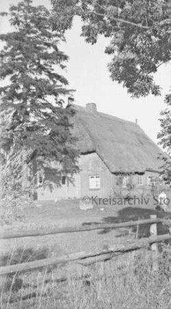 Bauernhaus mit Reetdach: davor Weide mit Zaun: rechts Frau: links und oben Bäume