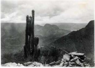Blick nach Norden über Livi Livi und Senke