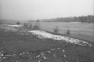 Pieschener Elbufer, im Hintergrund die Marienbrücke