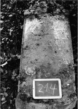 Grabstein 214 (Index: 100090555) Material: Sandstein Zustand: abgeblätt/verwitt/fast völl. Textverlust Maße HxBxT: 130x52x13 cm Beschreibung: Stele, eingezogener Segmentbogenabschluß: Grabstein 214