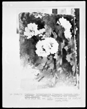 Blüten