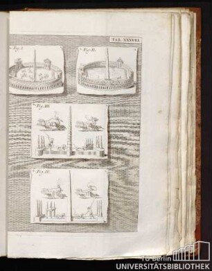 TAB XXXVIII
