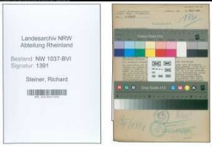 Entnazifizierung Richard Steiner , geb. 04.03.1881 (Dentist)