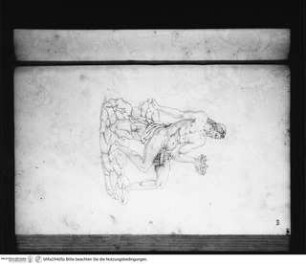 ANTIQUARUM STATUARUM FORMAE ET EFFIGIES, Priapus