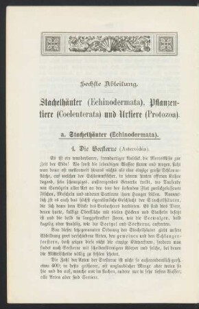 a. Stachelhäuter (Echinodermata).