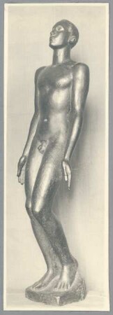 Adam, 1919/20, Bronze