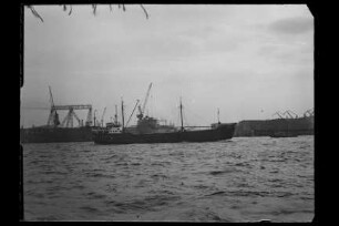 Amisia (1953), Schmitz, Brink & Wölfel, Flensburg