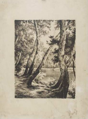 Lithografiestein aus Solnhofener Kalkstein mit Motiv "Birken am See"