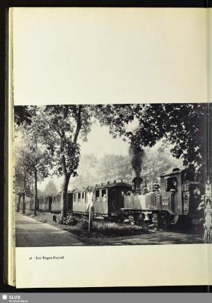 Der Rügen-Expreß