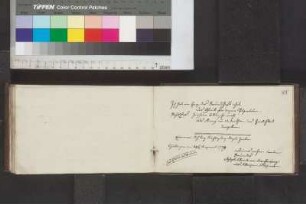 Einträge Bl. 81 - 96