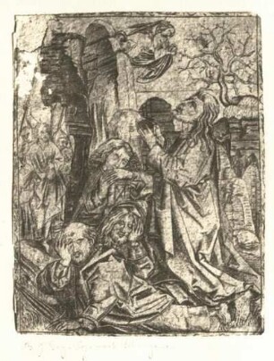Gethsemane : Gethsemane. Kupferstich (Kopie nach M. Schongauer)